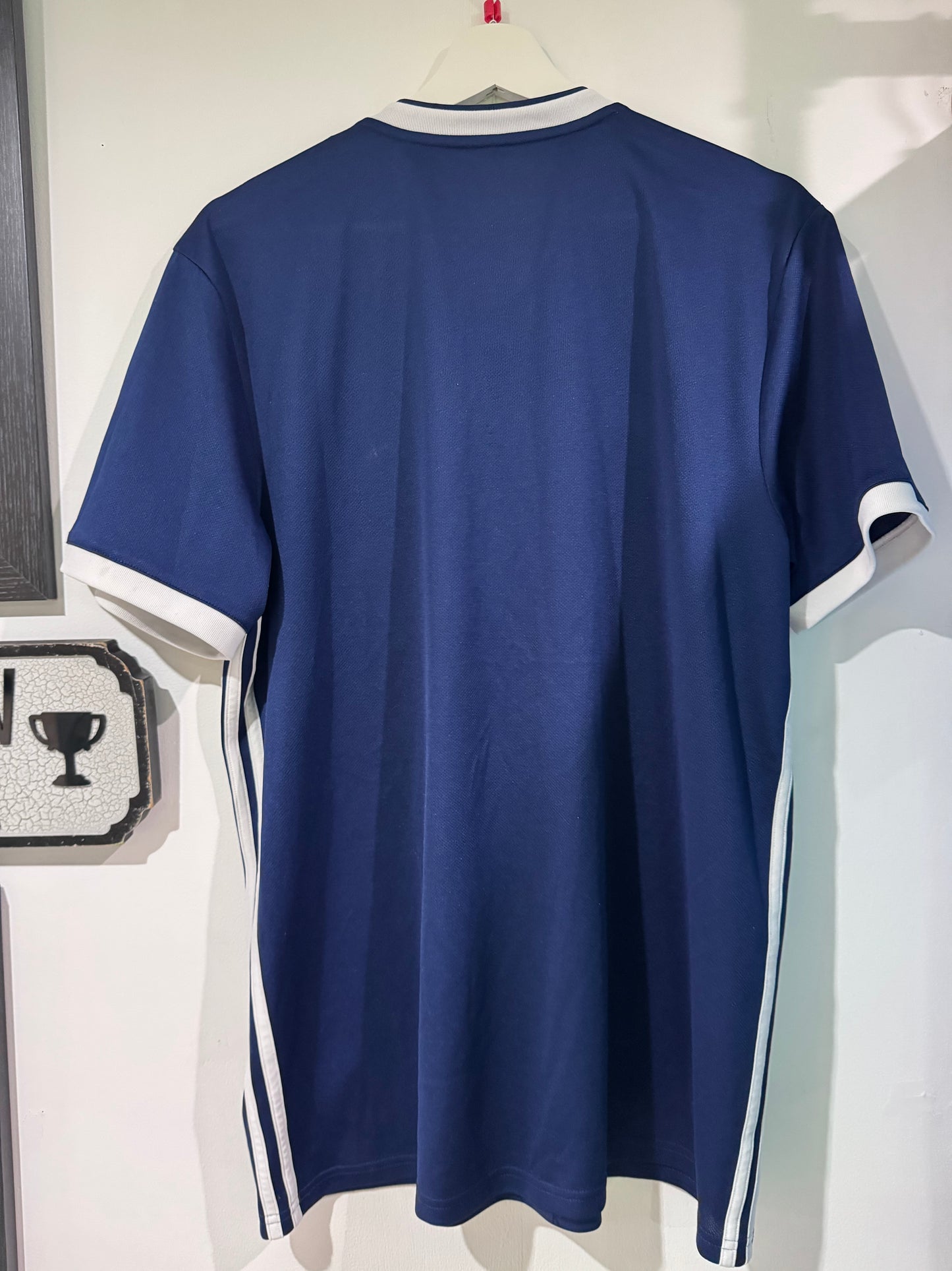 Scotland 2018 home shirt large