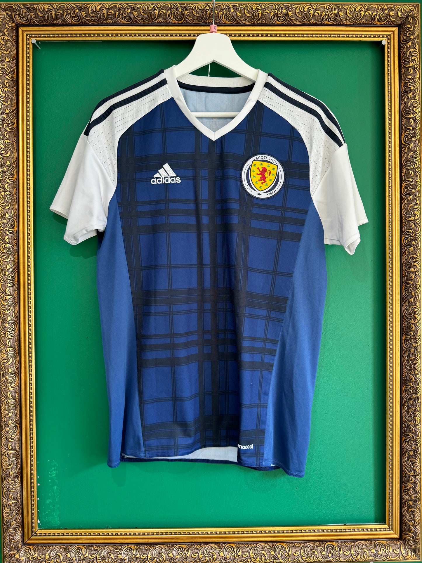 Scotland 2016 home small