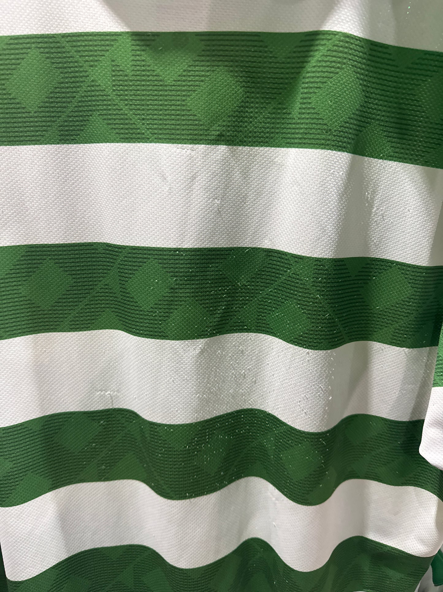 Celtic 2010/12 home xlarge
